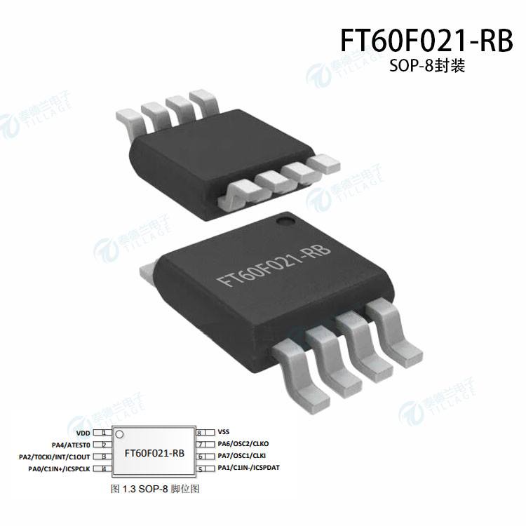 FT60F021-RB